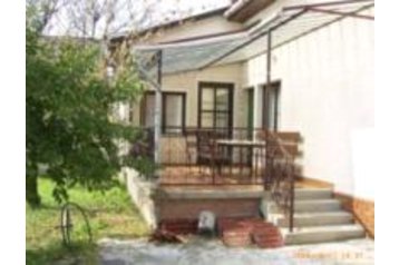 Унгария Privát Gyula, Екстериор